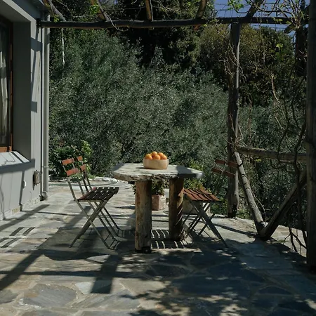 Daria's * Agioi Saranta