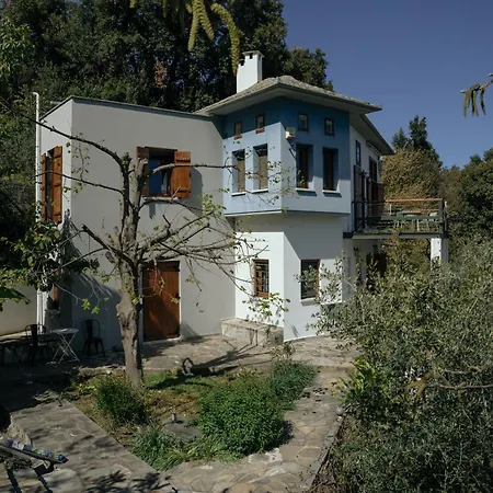 Daria's * Agioi Saranta