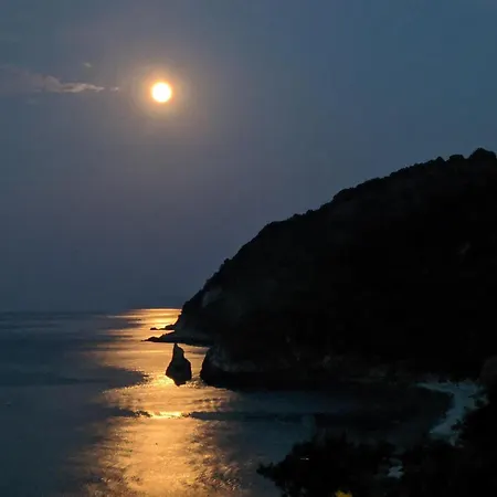 Daria's * Agioi Saranta