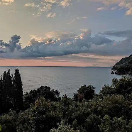 Daria's בית נופש *