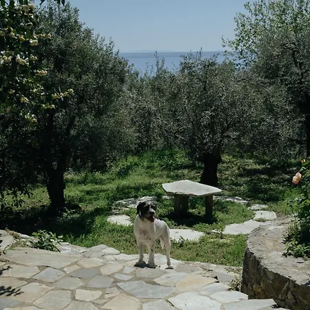 Daria's Holiday home Agioi Saranta