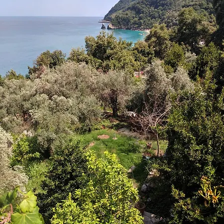 Daria's Agioi Saranta