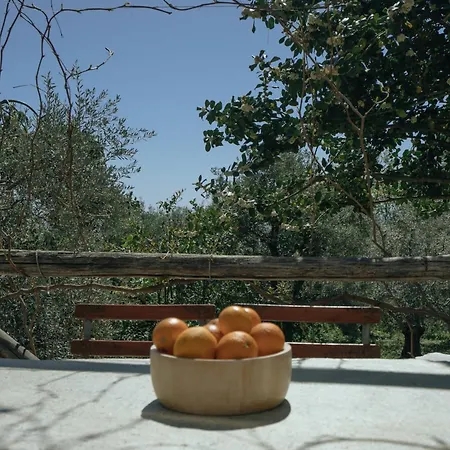 Hébergement de vacances Daria's