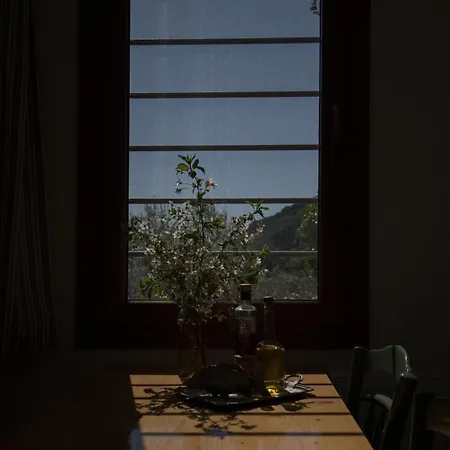 Daria's Holiday home *