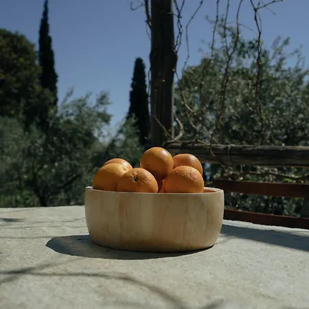 Daria's בית נופש Agioi Saranta