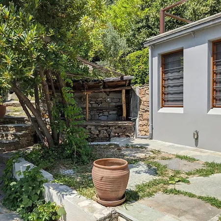 Daria's Agioi Saranta