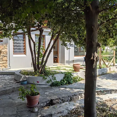 Daria's * Agioi Saranta