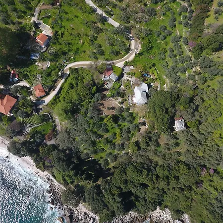 بيت للعطل Daria's