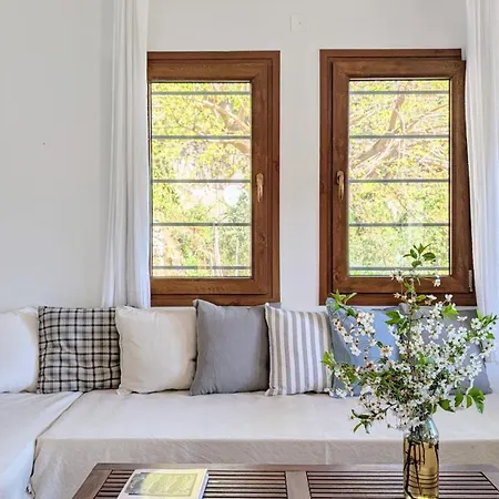 Daria's Agioi Saranta