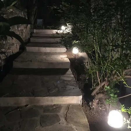 Daria's Agioi Saranta