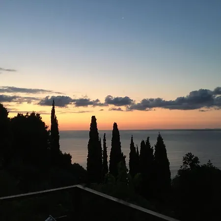 Daria's * Agioi Saranta