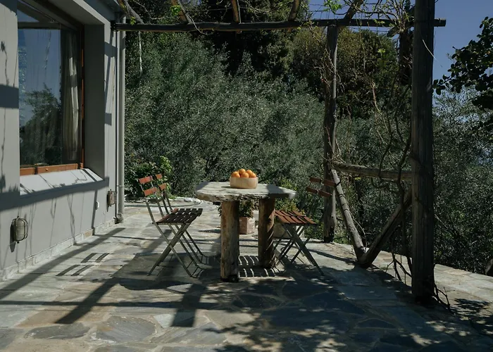 Daria's * Agioi Saranta