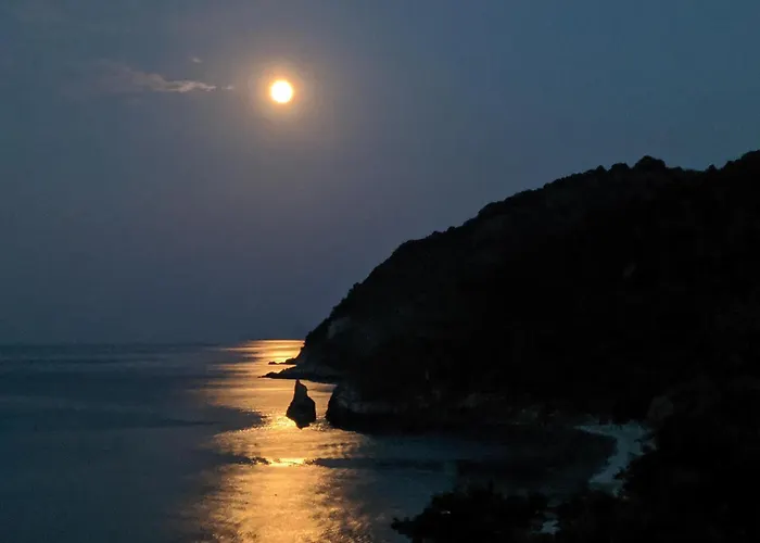 Daria's * Agioi Saranta