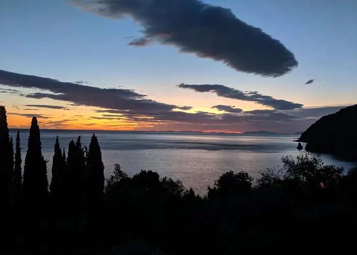 Daria's Hébergement de vacances