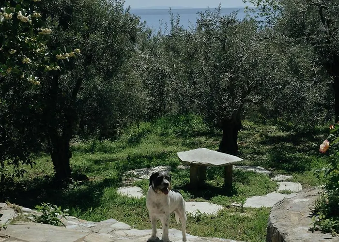 Daria's Hébergement de vacances Agioi Saranta