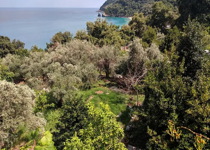 Daria's Agioi Saranta