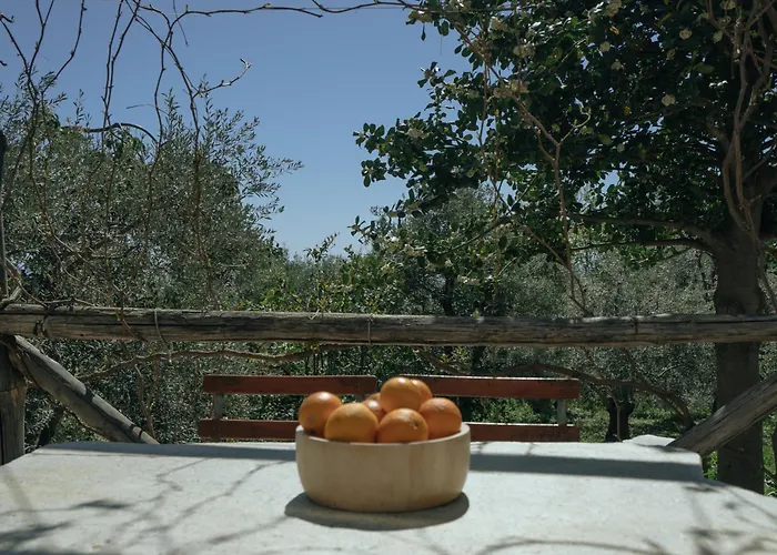 Hébergement de vacances Daria's