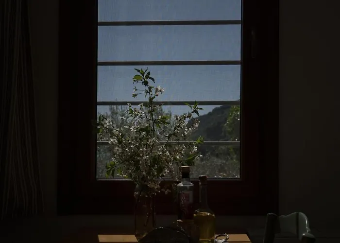 Daria's Holiday home *