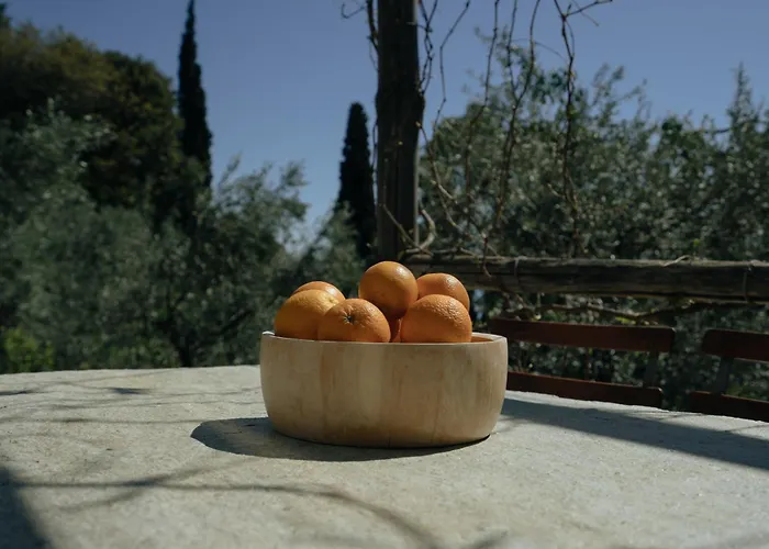 Daria's Holiday home Agioi Saranta