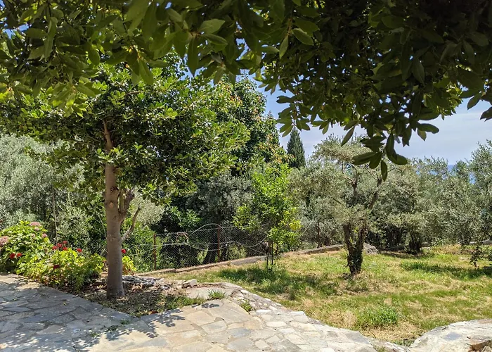 Hébergement de vacances Daria's