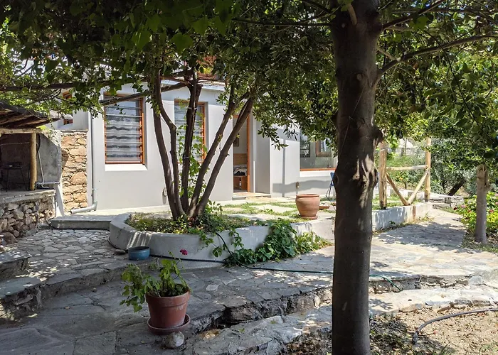 Daria's * Agioi Saranta