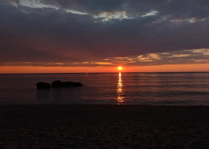 Daria's Agioi Saranta