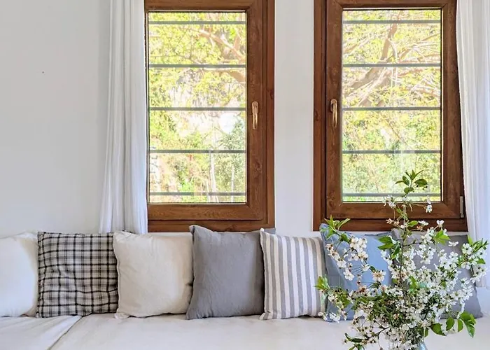 Daria's Agioi Saranta