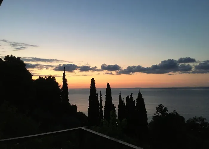 Daria's * Agioi Saranta